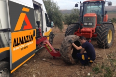 almazan-IMG_2480-copia